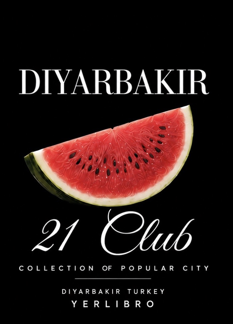 YERLIBRO DIYARBAKIR tişört